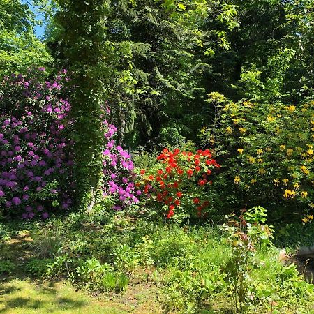 Ferienhaus Hudemuehlen Keine Monteure Hodenhagen Luaran gambar
