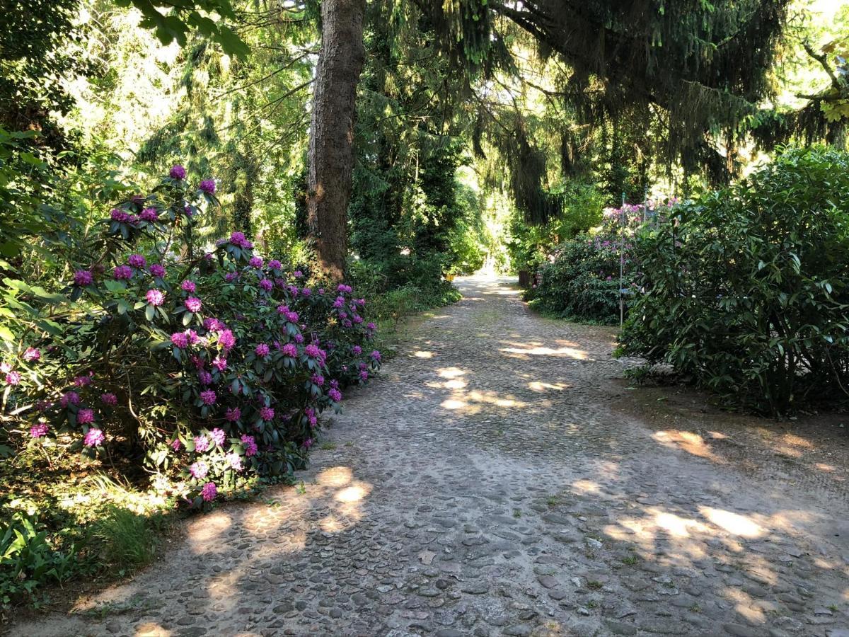 Ferienhaus Hudemuehlen Keine Monteure Hodenhagen Luaran gambar