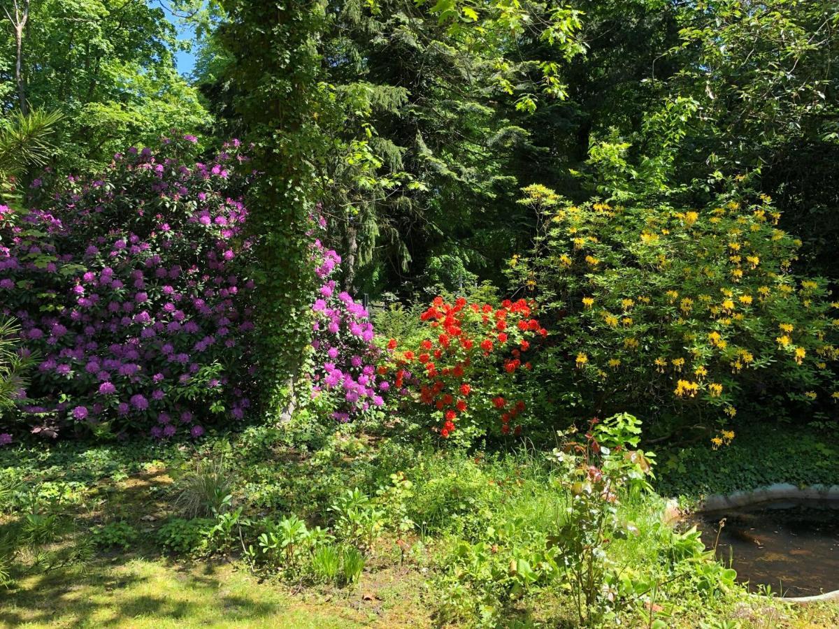 Ferienhaus Hudemuehlen Keine Monteure Hodenhagen Luaran gambar